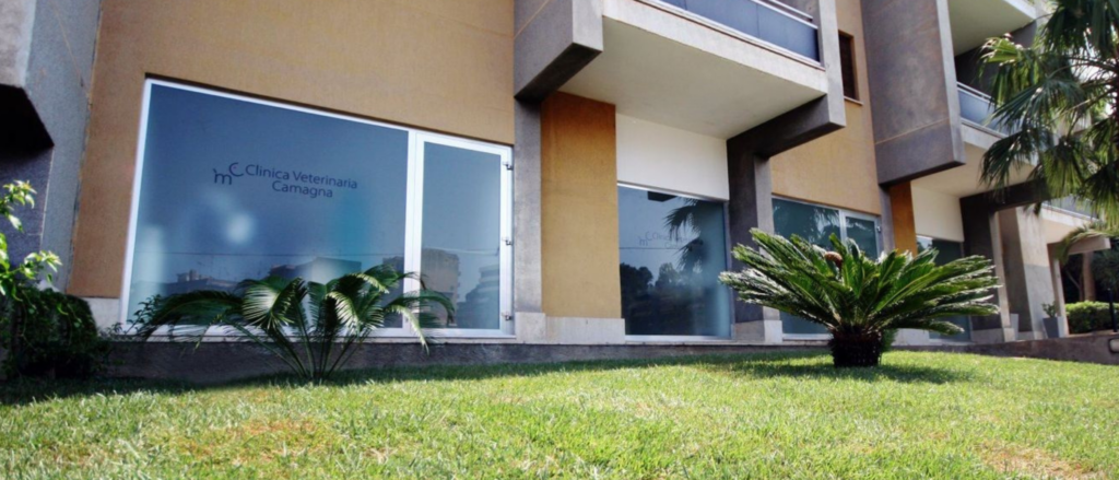 Clinica Veterinaria Camagna