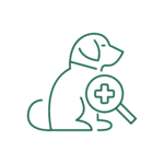 Dermatologia veterinaria presso la Clinica Veterinaria Camanga