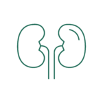 Nefrologia veterinaria per il trattamento delle patologie dei reni