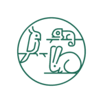 Medicina e chirurgia veterinaria per animali esotici e non convenzionali