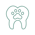 Odontostomatologia veterinaria per la cura delle patologie del cavo orale