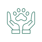 Assistenza veterinaria e cura degli animali a Reggio Calabria