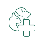 Pronto soccorso veterinario sempre aperto a Reggio Calabria