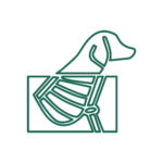 Raggi X per diagnosi veterinarie più dettagliate