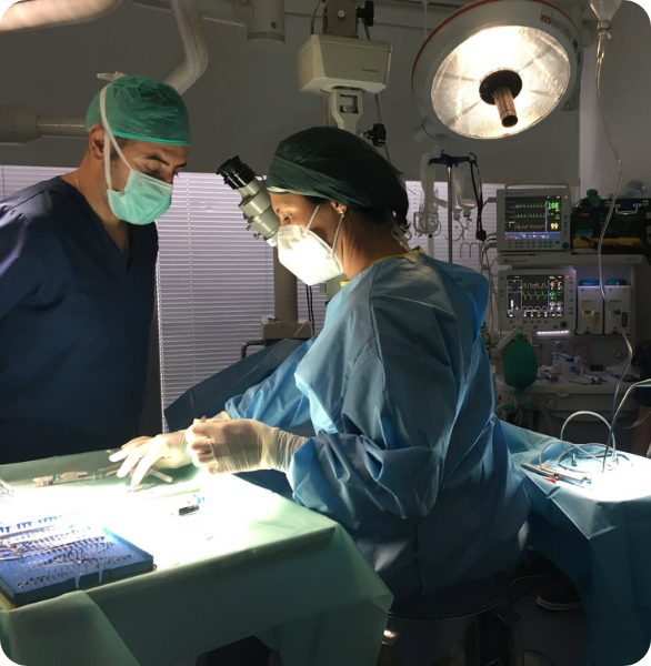 Due veterinari della Clinica Veterinaria Camagna a Reggio Calabria si preparano per un intervento chirurgico