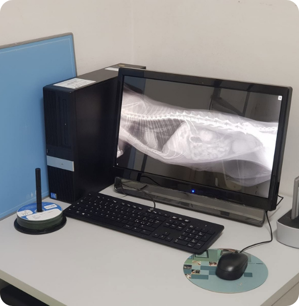 Esito di una radiografia, visibile sul PC del tecnico