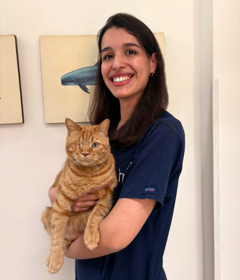 Dottoressa Flavia Rosace, medico veterinario, Neurologia, anestesia e medicina d’urgenza